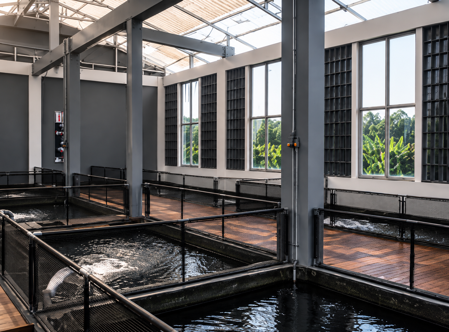 Kolam Yamagen Koi Farm