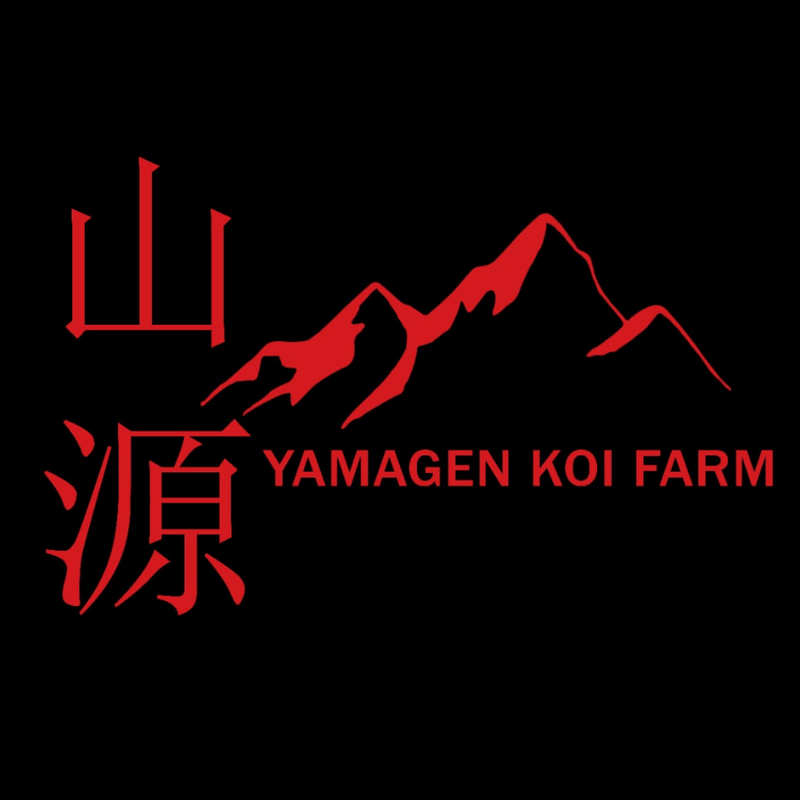 Yamagen Koi Farm
